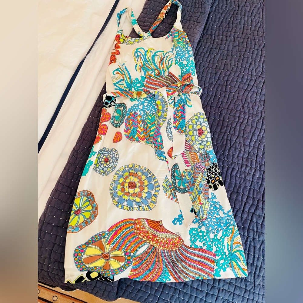 Banana Republic in the Trina Turk collection dress